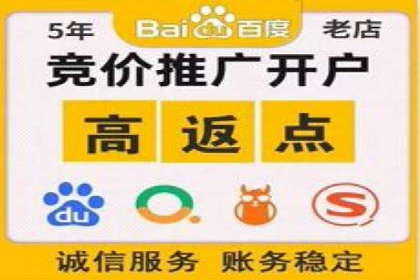 某电商平台的sem竞价推广托管经验